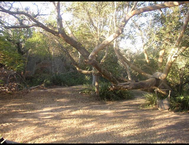 5HA FARM FOR SALE IN NELSPRUIT CENTRAL